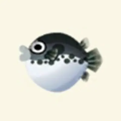 フグの画像