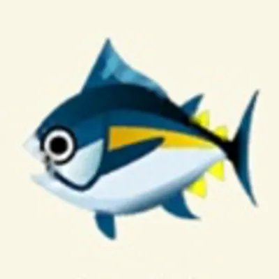 マグロ（魚）の画像