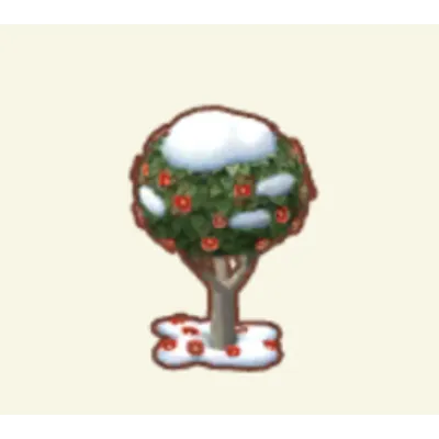 ツバキのきの画像