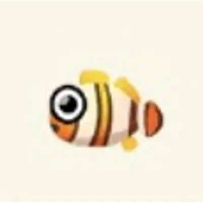 クマノミの画像