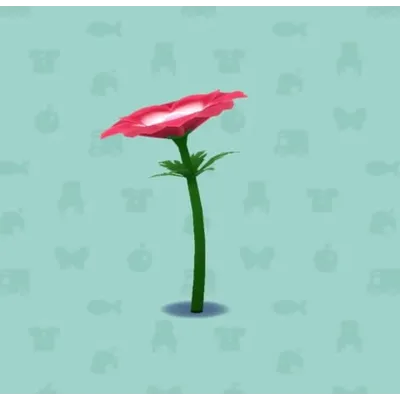 おおきなアネモネの画像