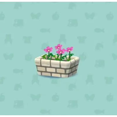 ピンクのカタバミの画像