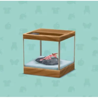 アマエビのすいそうの画像