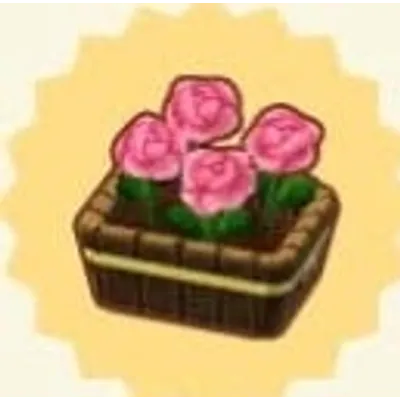 ピンクのバラの画像