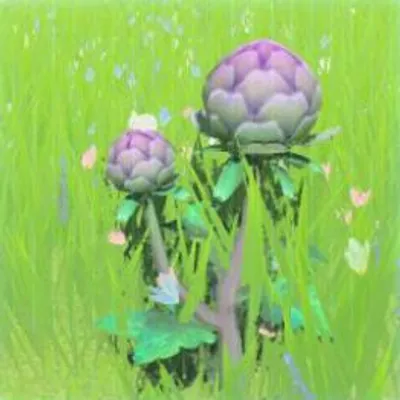 197 ヨロイソウの画像