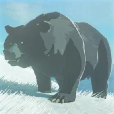 27 コウテイヒグマの画像