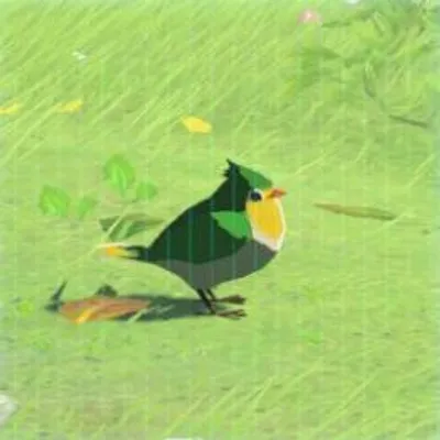 30 タダスズメの画像