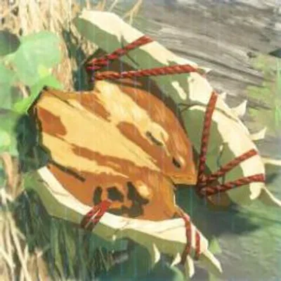 376 竜骨ボコ盾の画像