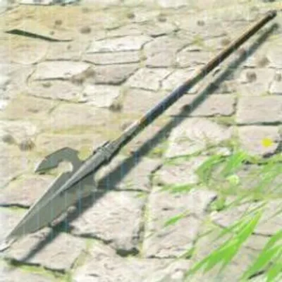290 兵士の槍の画像