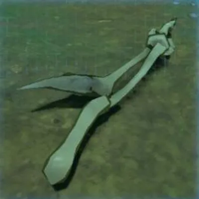 246 リザルフォスの骨の画像