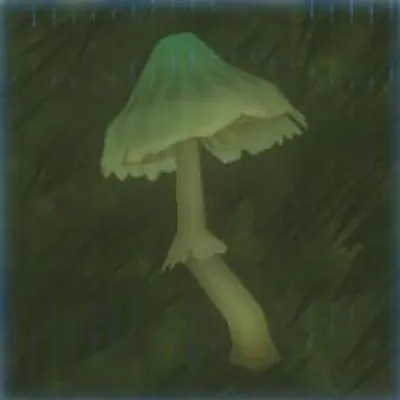 185 シノビダケの画像