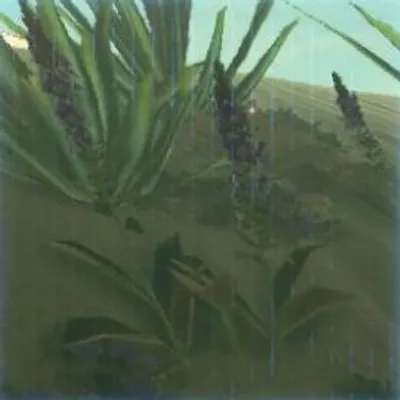 189 ヒンヤリハーブの画像