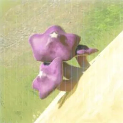 182 ゴーゴーダケの画像