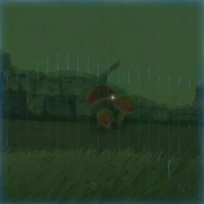 180 ポカポカダケの画像