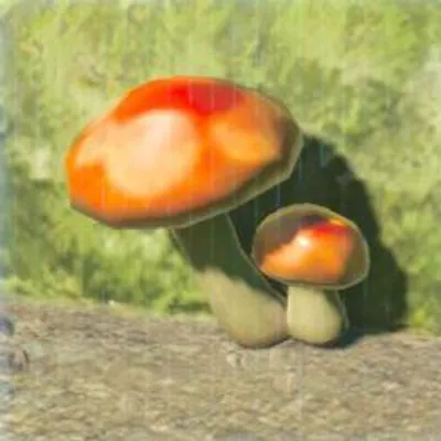 174 ハイラルダケの画像