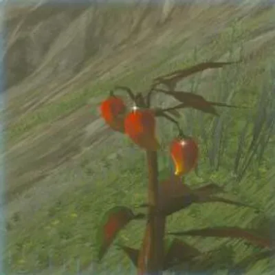 170 ポカポカ草の実の画像