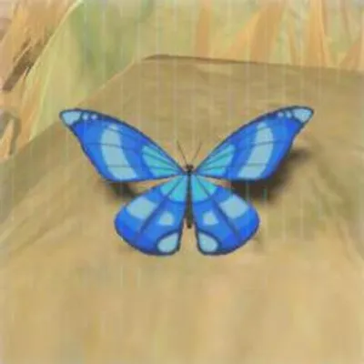67 ヒンヤリアゲハの画像