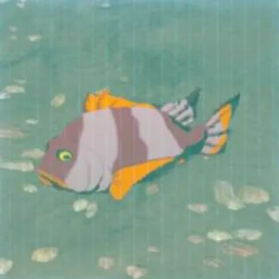 59 ツルギダイの画像