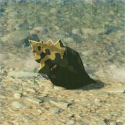 61 シノビタニシの画像