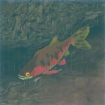 53 ポカポカマスの画像