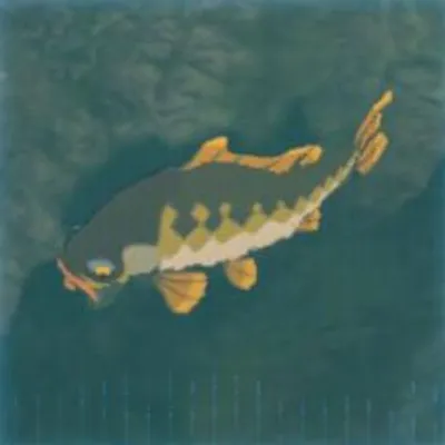 56 ツルギゴイの画像