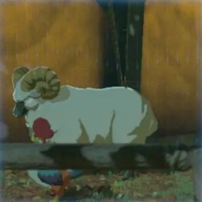 18 コウゲンヒツジの画像