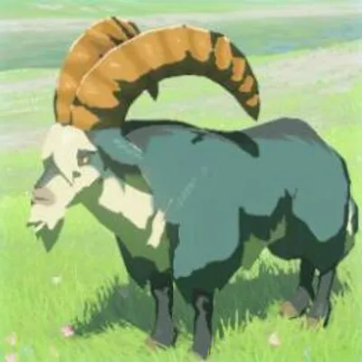 12 セグロヤギの画像