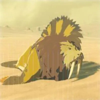 7 スナザラシの画像