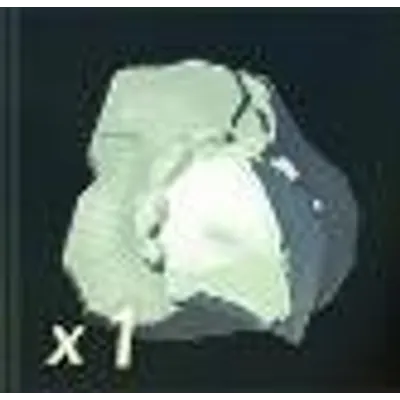 ネルドラの牙のかけらの画像