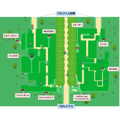 6番道路の画像