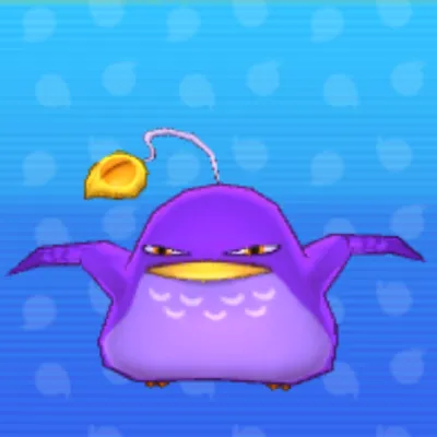 ヨコドリの画像