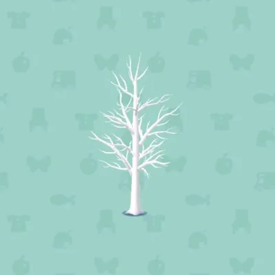 じゅひょうのきの画像