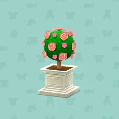 ピンクのトピアリーフラワーの画像