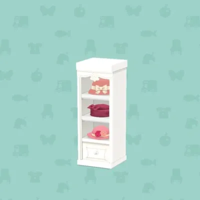 セレブなハットクロゼットの画像