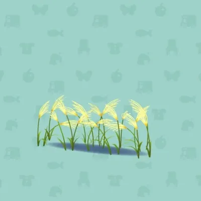 ススキのしげみの画像