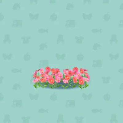 ポピーのはなばたけAの画像