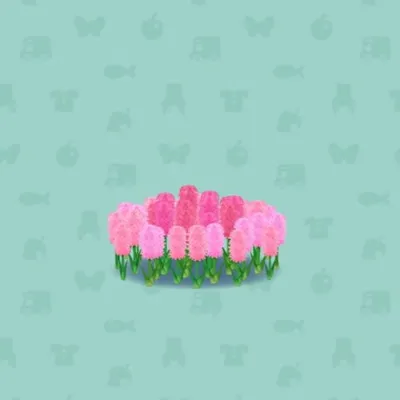 ヒヤシンスのまるいはなばたけAの画像