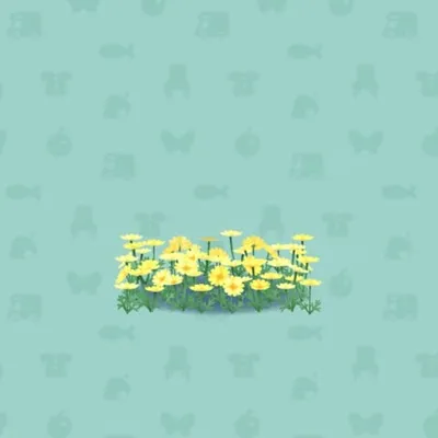 マーガレットのはなばたけBの画像