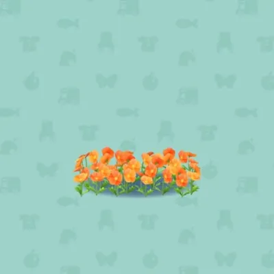 ポピーのはなばたけBの画像