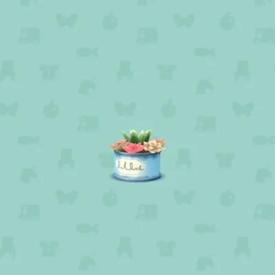 たにくしょくぶつのはちうえの画像