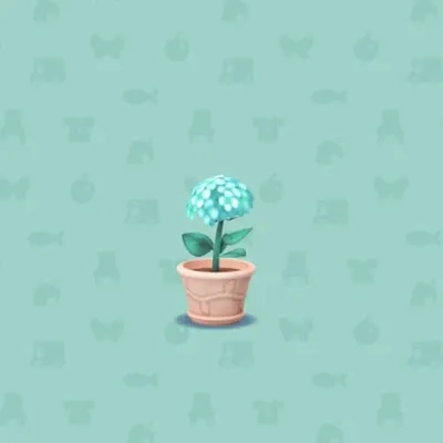 みずいろのいちりんあじさいの画像