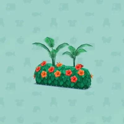 ハイビスカスのいけがきAの画像