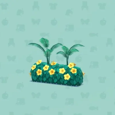 ハイビスカスのいけがきBの画像