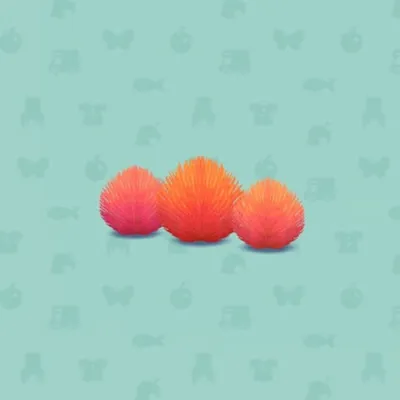 あきいろコキアのいけがきの画像
