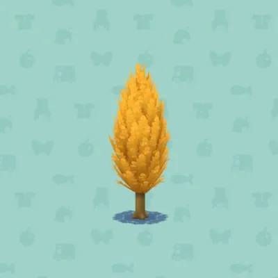 せのたかいあきいろのきBの画像