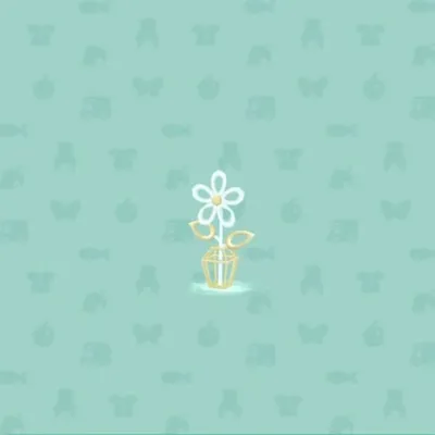 しろいワイヤーフラワーの画像