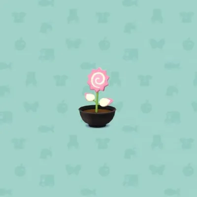 ピンクのなるとフラワーの画像