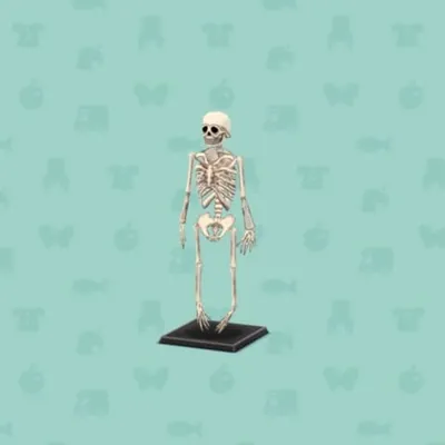 こっかくひょうほんの画像