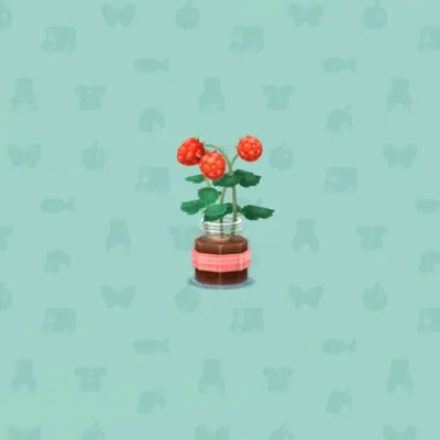 あかいベリーの画像