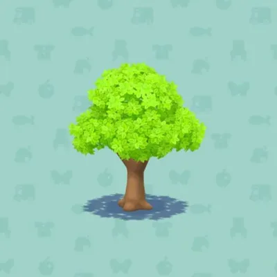 タンポポばたけのきの画像
